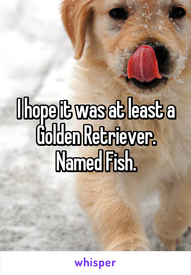 I hope it was at least a Golden Retriever. Named Fish.