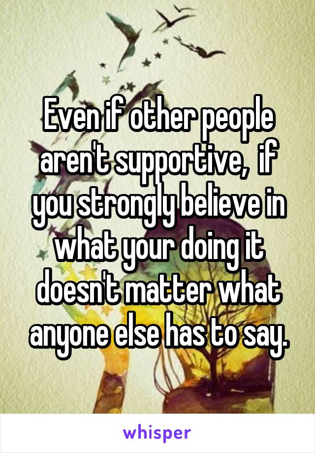 Even if other people aren't supportive,  if you strongly believe in what your doing it doesn't matter what anyone else has to say.