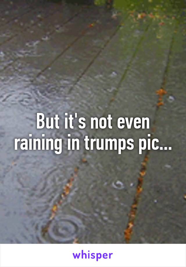 But it's not even raining in trumps pic...