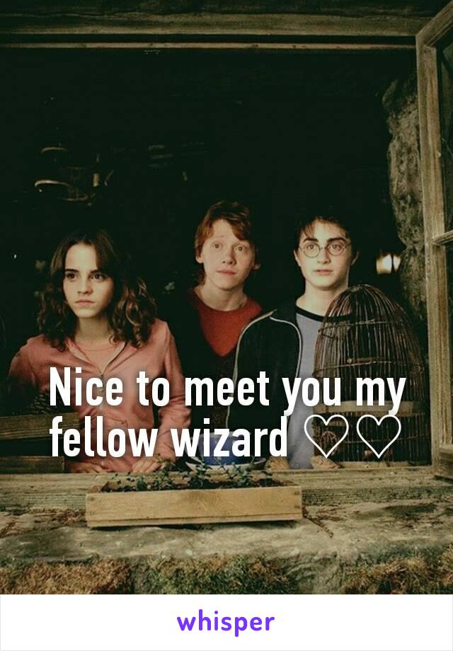 Nice to meet you my fellow wizard ♡♡