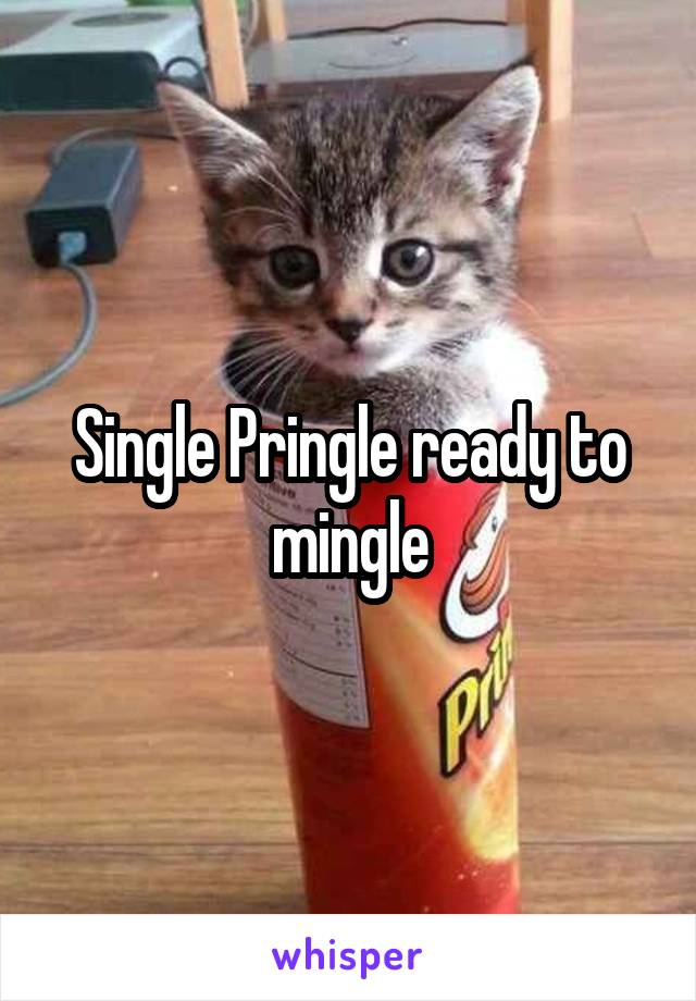 Single Pringle ready to mingle