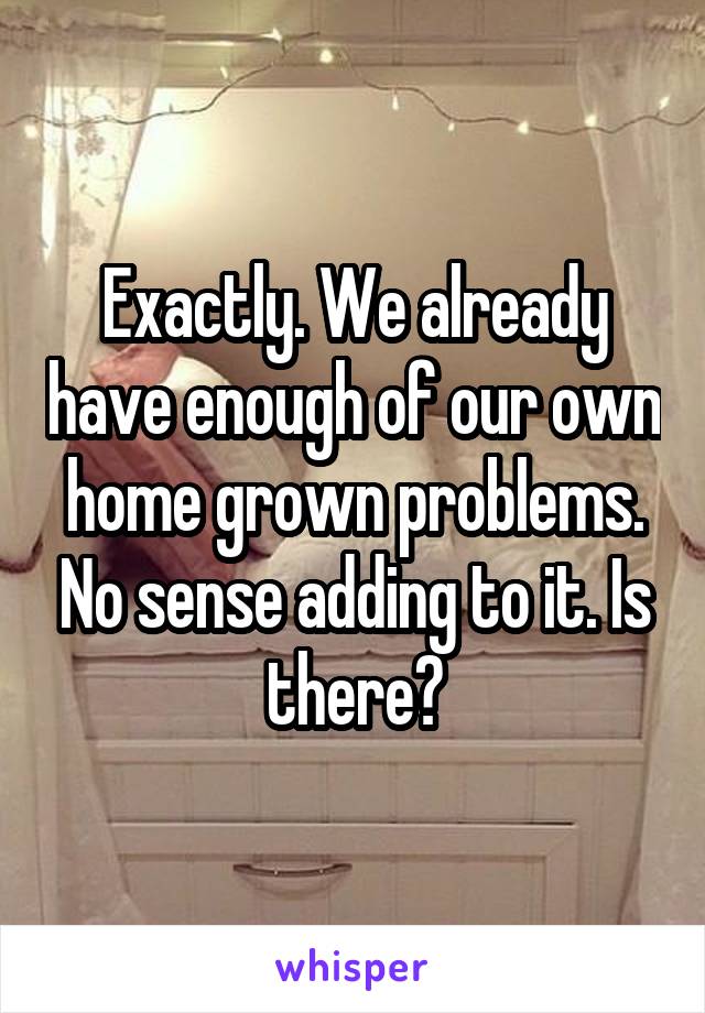 Exactly. We already have enough of our own home grown problems. No sense adding to it. Is there?