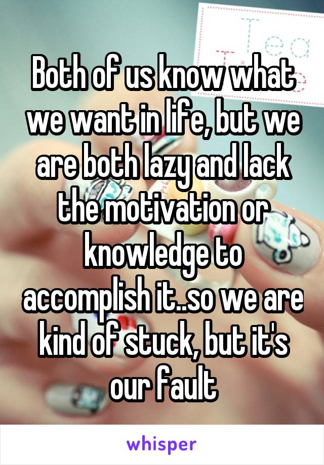Both of us know what we want in life, but we are both lazy and lack the motivation or knowledge to accomplish it..so we are kind of stuck, but it's our fault