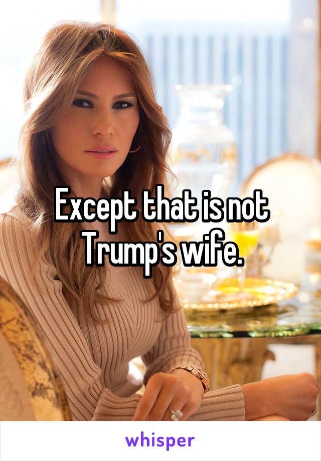 Except that is not Trump's wife.