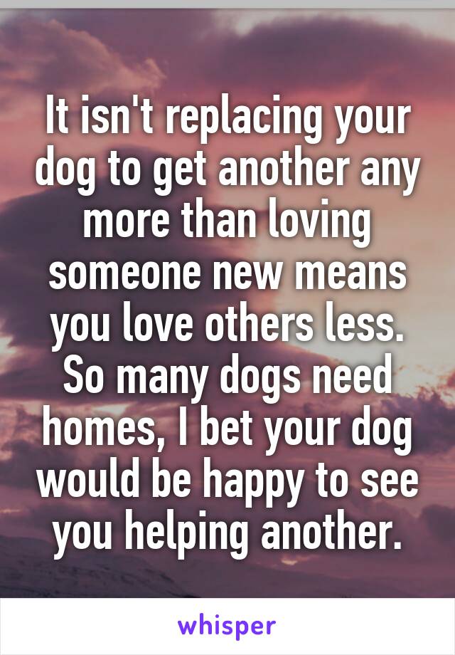 It isn't replacing your dog to get another any more than loving someone new means you love others less. So many dogs need homes, I bet your dog would be happy to see you helping another.