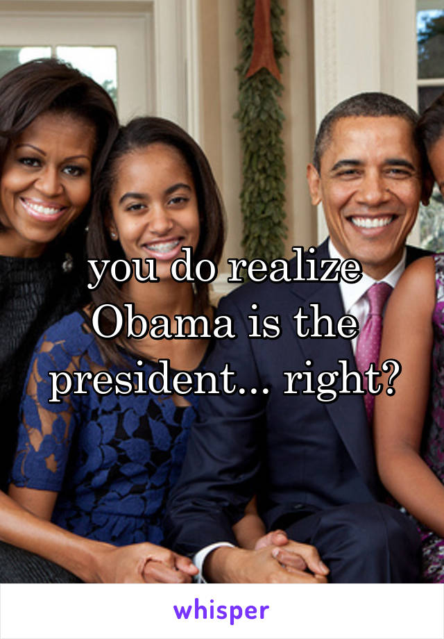 you do realize Obama is the president... right?