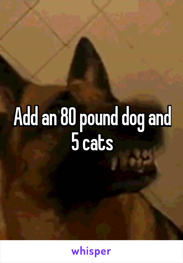 Add an 80 pound dog and 5 cats