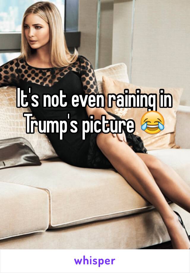 It's not even raining in Trump's picture 😂