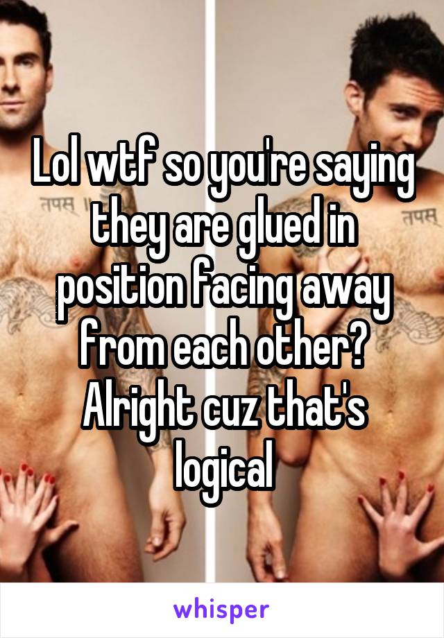 Lol wtf so you're saying they are glued in position facing away from each other? Alright cuz that's logical