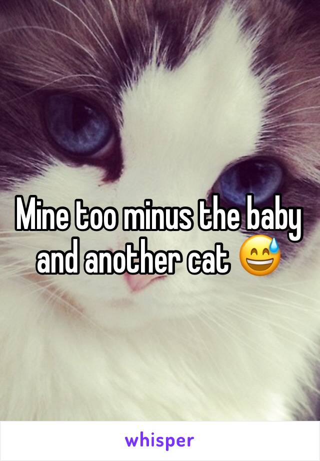 Mine too minus the baby and another cat 😅