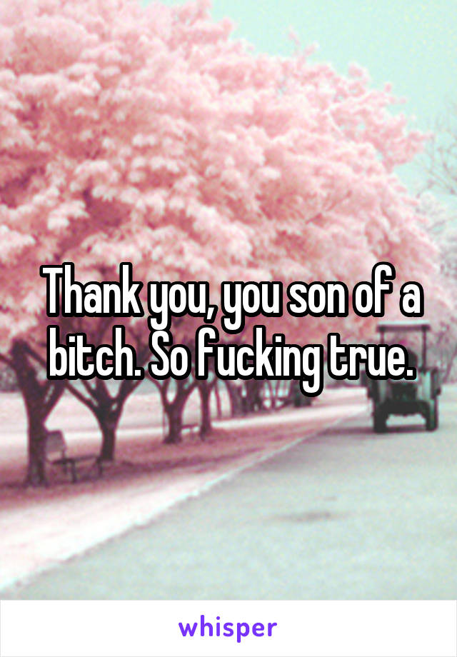 Thank you, you son of a bitch. So fucking true.