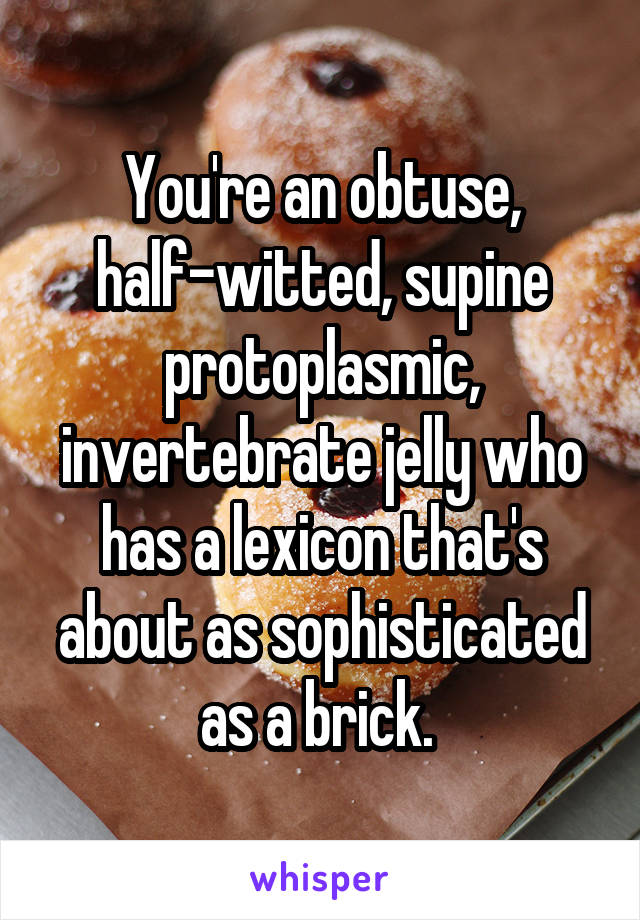 You're an obtuse, half-witted, supine protoplasmic, invertebrate jelly who has a lexicon that's about as sophisticated as a brick. 
