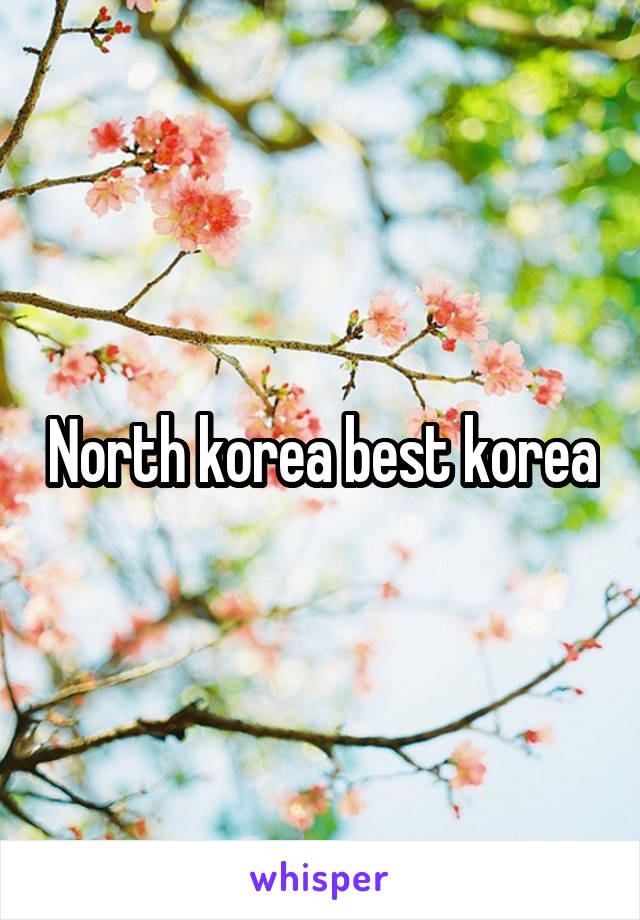 North korea best korea