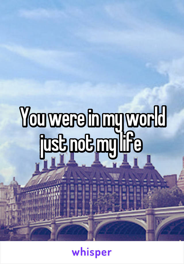 You were in my world just not my life 