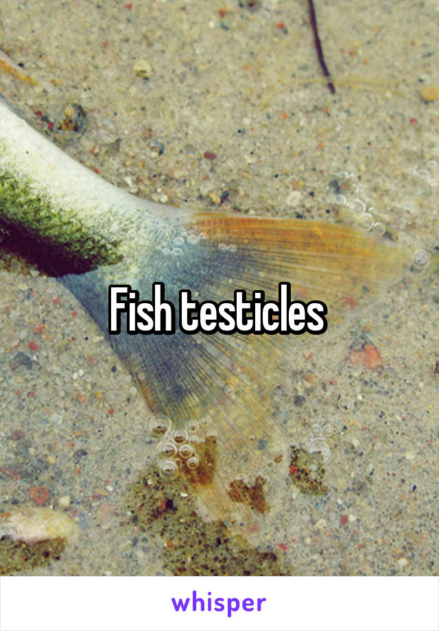 Fish testicles 