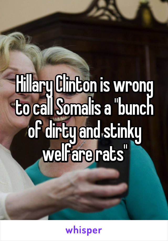 Hillary Clinton is wrong to call Somalis a "bunch of dirty and stinky welfare rats"