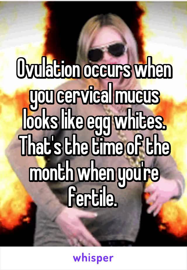 Ovulation occurs when you cervical mucus looks like egg whites. That's the time of the month when you're fertile. 