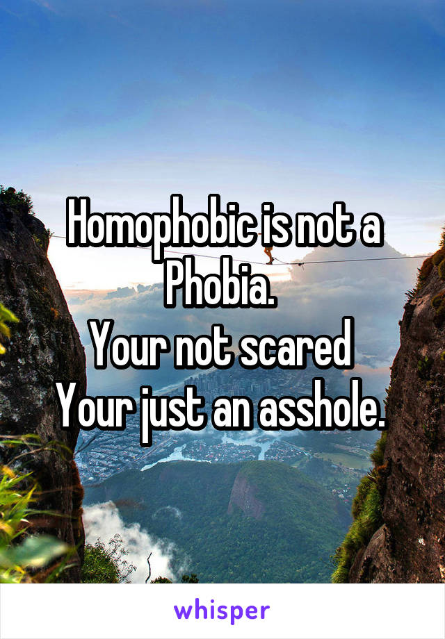 Homophobic is not a Phobia. 
Your not scared 
Your just an asshole. 