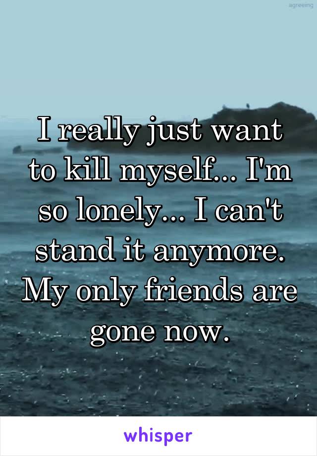 I really just want to kill myself... I'm so lonely... I can't stand it anymore. My only friends are gone now.