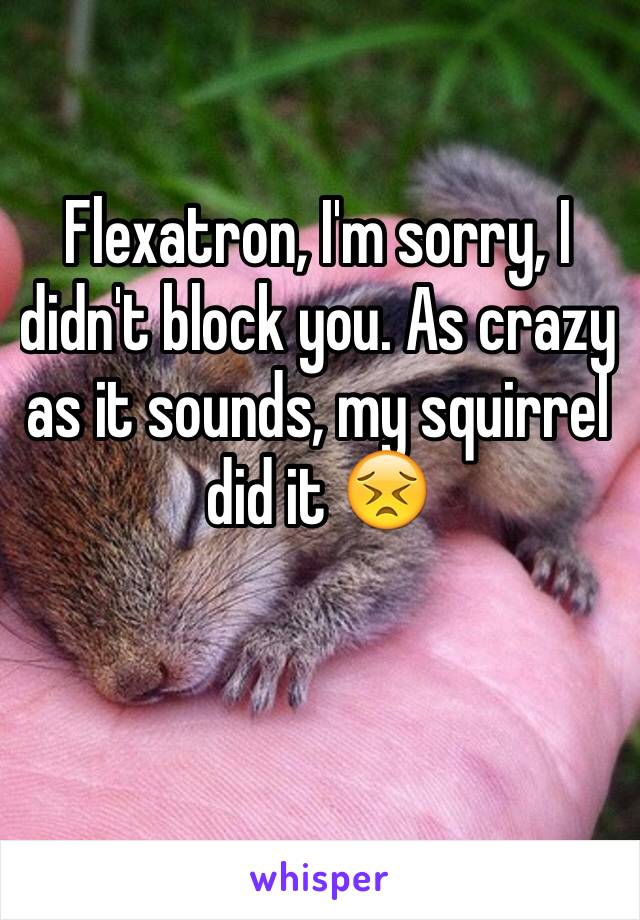 Flexatron, I'm sorry, I didn't block you. As crazy as it sounds, my squirrel did it 😣