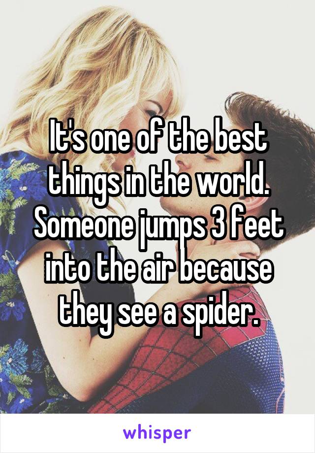It's one of the best things in the world. Someone jumps 3 feet into the air because they see a spider.