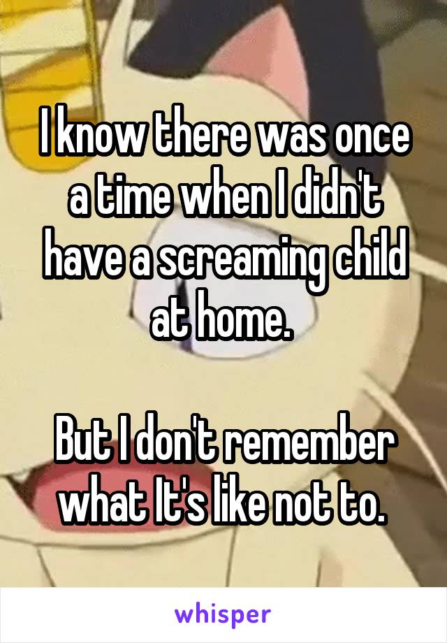 I know there was once a time when I didn't have a screaming child at home. 

But I don't remember what It's like not to. 