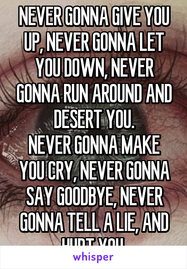 NEVER GONNA GIVE YOU UP, NEVER GONNA LET YOU DOWN, NEVER GONNA RUN AROUND AND DESERT YOU.
NEVER GONNA MAKE YOU CRY, NEVER GONNA SAY GOODBYE, NEVER GONNA TELL A LIE, AND HURT YOU.