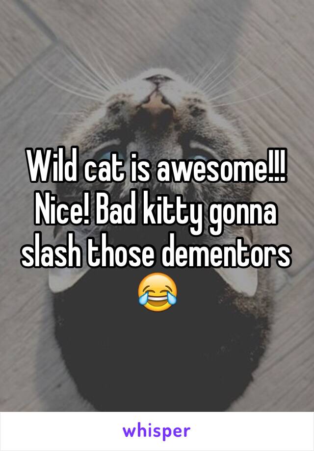 Wild cat is awesome!!! Nice! Bad kitty gonna slash those dementors 😂
