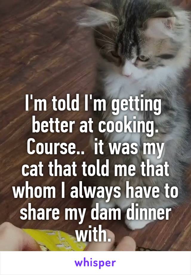 


I'm told I'm getting  better at cooking.
Course..  it was my cat that told me that whom I always have to share my dam dinner with. 