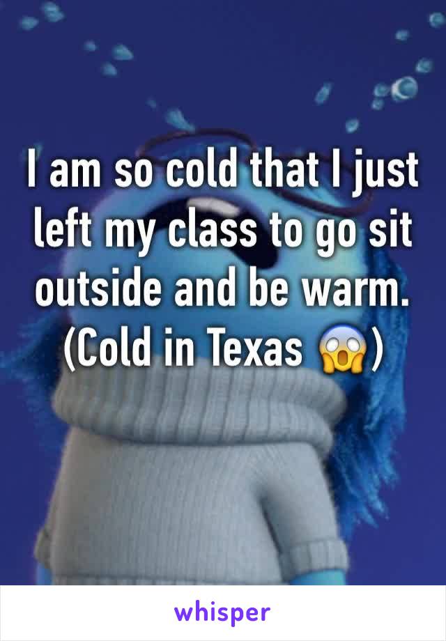 I am so cold that I just left my class to go sit outside and be warm.
(Cold in Texas 😱)