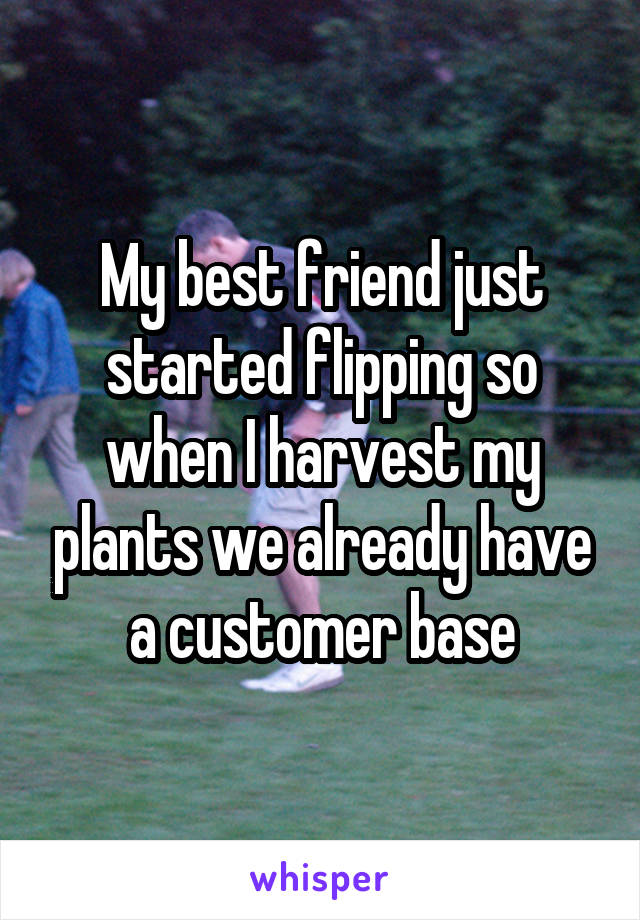 My best friend just started flipping so when I harvest my plants we already have a customer base