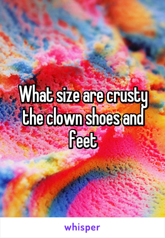 What size are crusty the clown shoes and feet