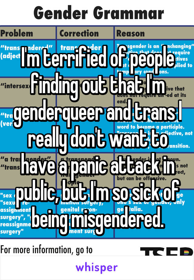 I'm terrified of people finding out that I'm genderqueer and trans I really don't want to have a panic attack in public, but I'm so sick of being misgendered.