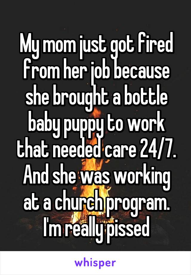 My mom just got fired from her job because she brought a bottle baby puppy to work that needed care 24/7. And she was working at a church program. I'm really pissed