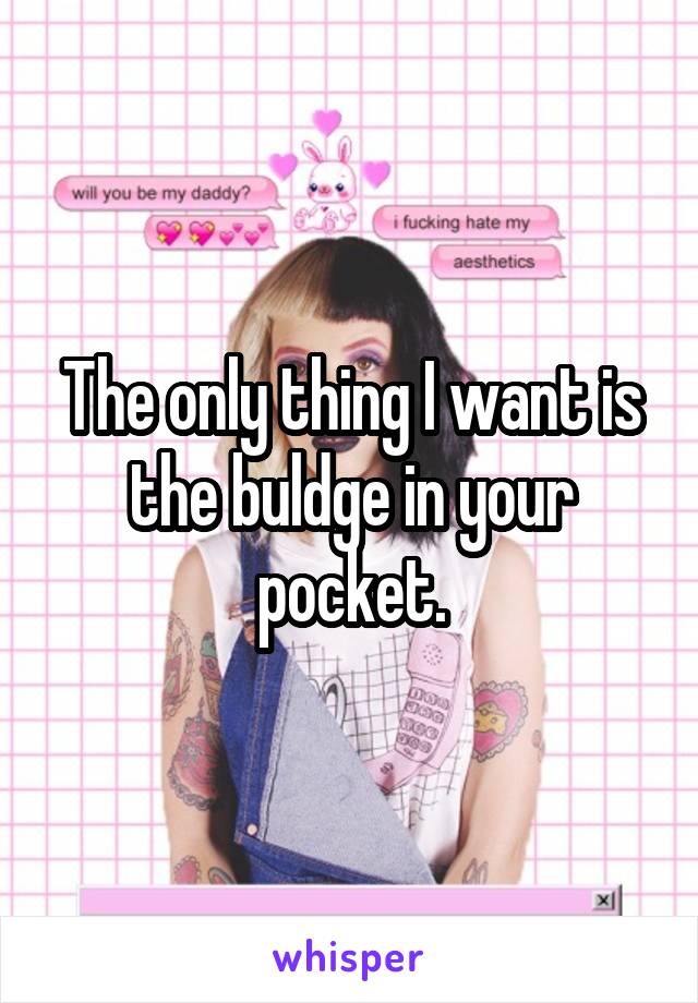 The only thing I want is the buldge in your pocket.