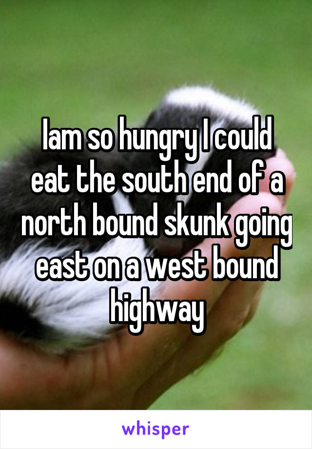 Iam so hungry I could eat the south end of a north bound skunk going east on a west bound highway