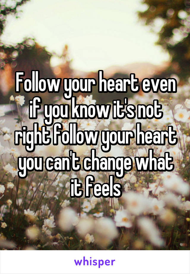 Follow your heart even if you know it's not right follow your heart you can't change what it feels
