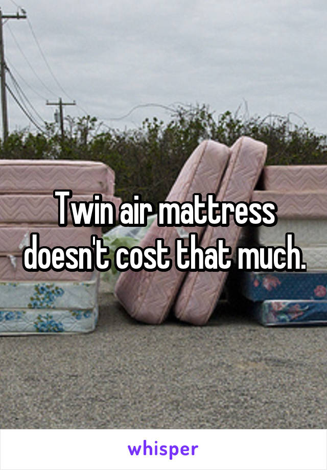 Twin air mattress doesn't cost that much.
