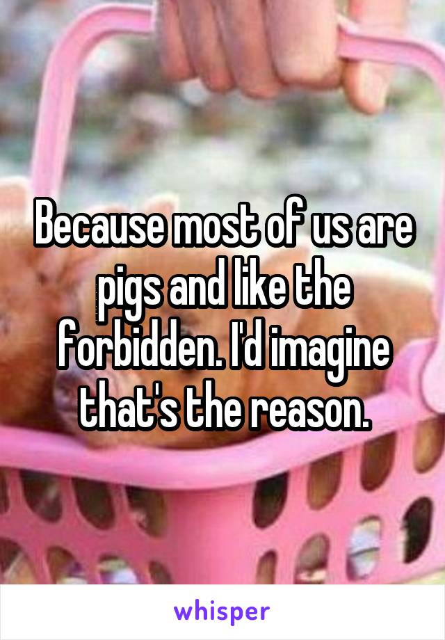 Because most of us are pigs and like the forbidden. I'd imagine that's the reason.