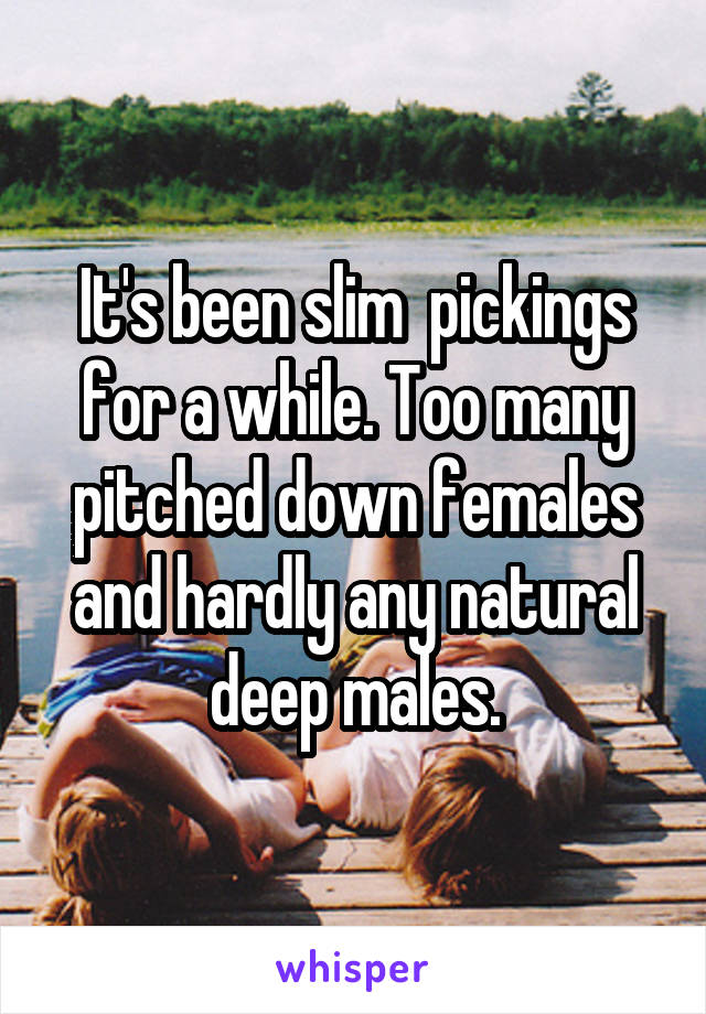 It's been slim  pickings for a while. Too many pitched down females and hardly any natural deep males.