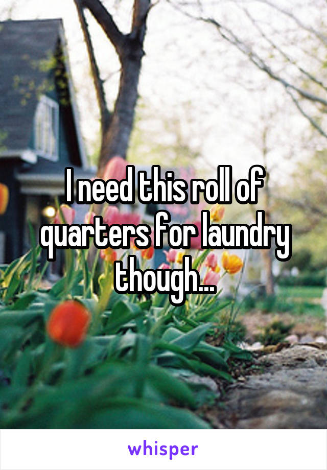 I need this roll of quarters for laundry though...