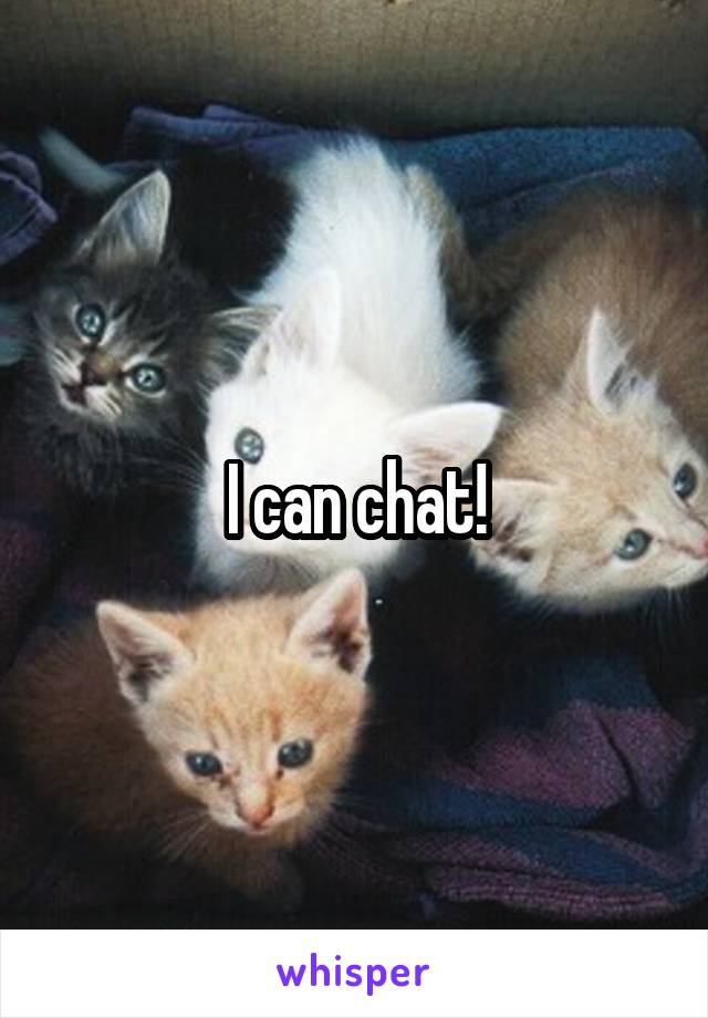 I can chat!
