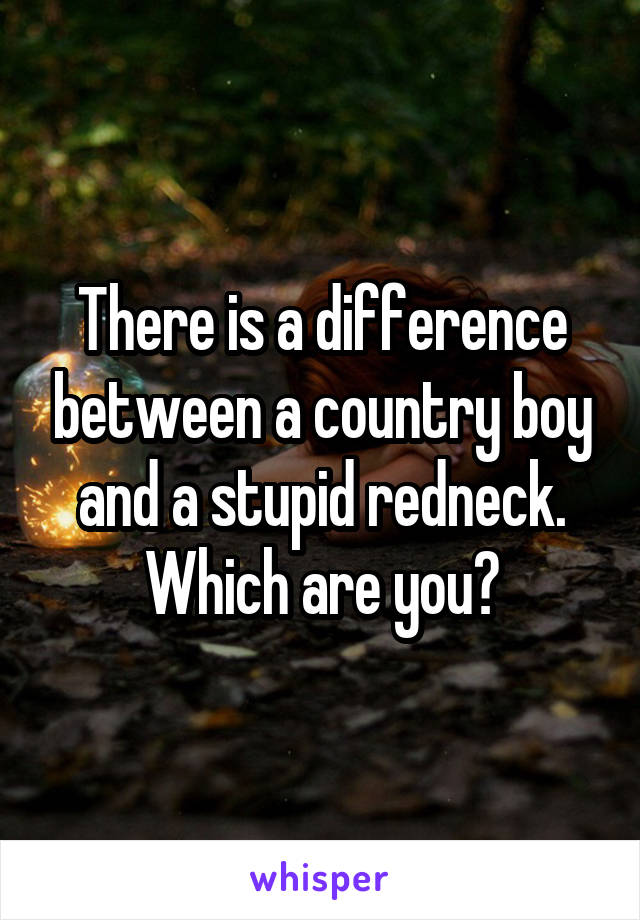 There is a difference between a country boy and a stupid redneck.
Which are you?