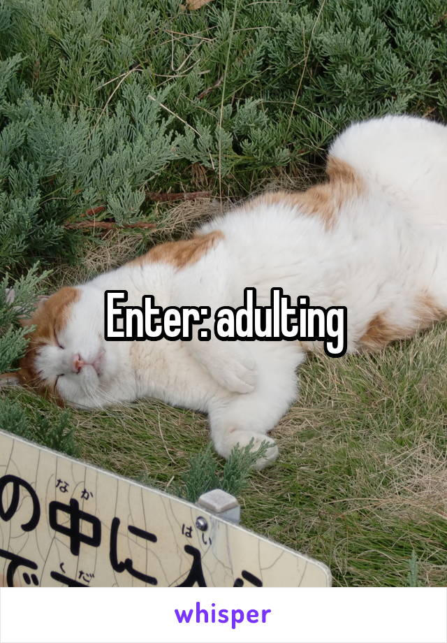 Enter: adulting