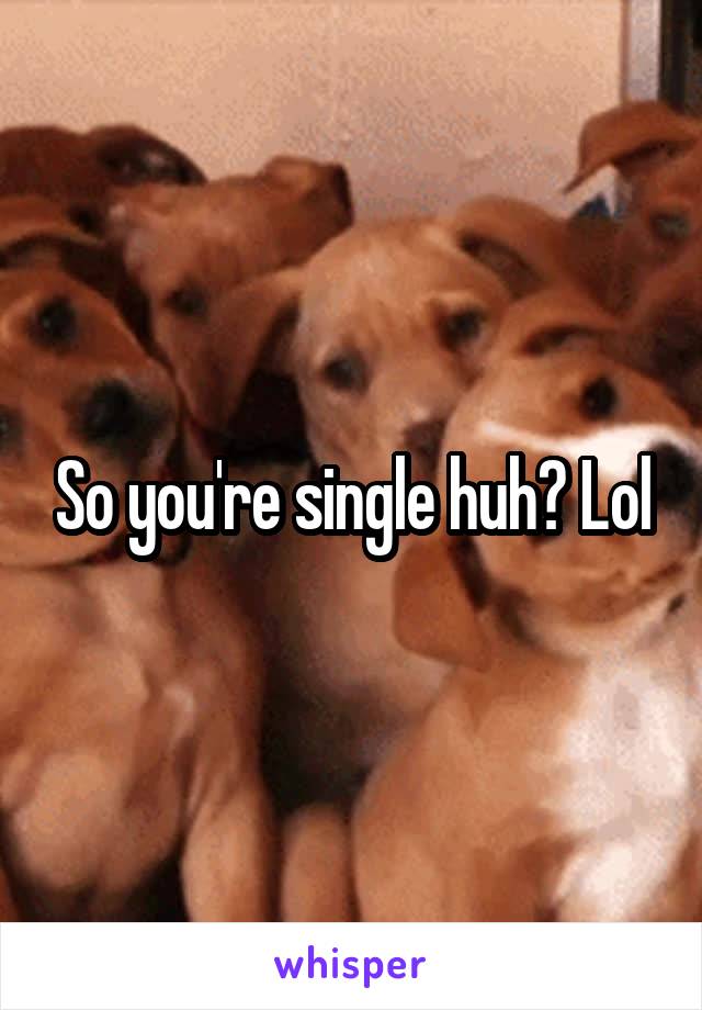 So you're single huh? Lol