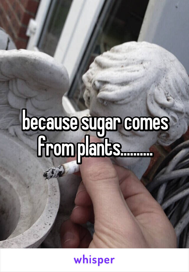 because sugar comes from plants..........