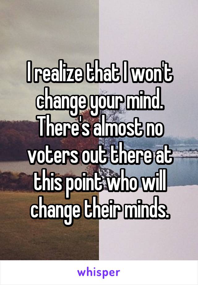 I realize that I won't change your mind. There's almost no voters out there at this point who will change their minds.