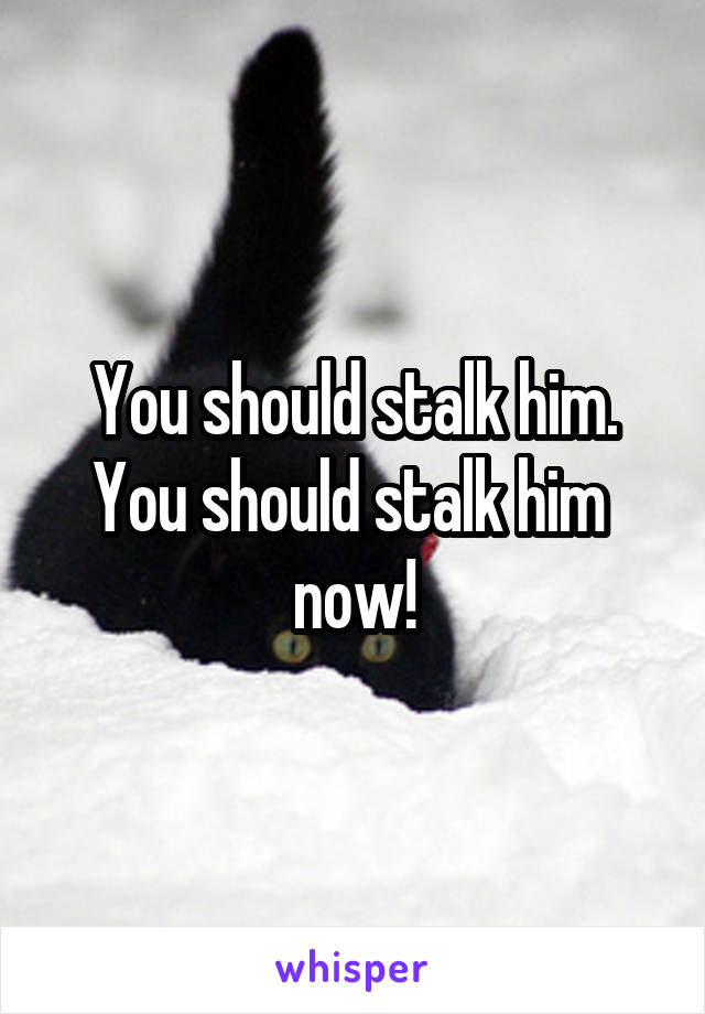 You should stalk him. You should stalk him  now!
