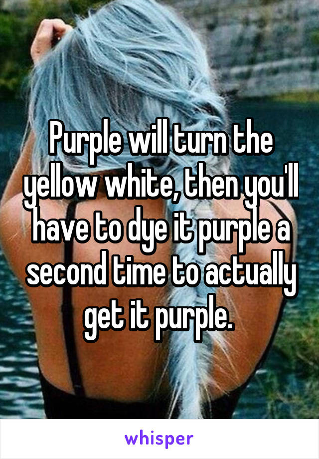 Purple will turn the yellow white, then you'll have to dye it purple a second time to actually get it purple. 