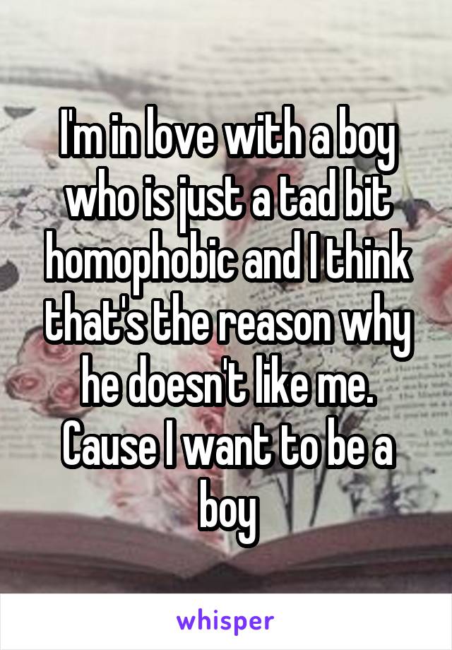 I'm in love with a boy who is just a tad bit homophobic and I think that's the reason why he doesn't like me. Cause I want to be a boy